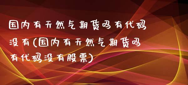 国内有天然气期货吗有代码没有(国内有天然气期货吗有代码没有股票)_https://www.iteshow.com_期货开户_第1张