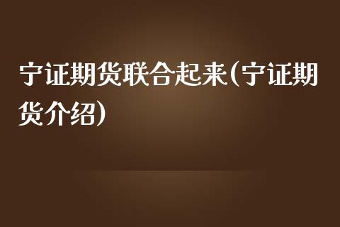 宁证期货联合起来(宁证期货介绍)_https://www.iteshow.com_基金_第1张