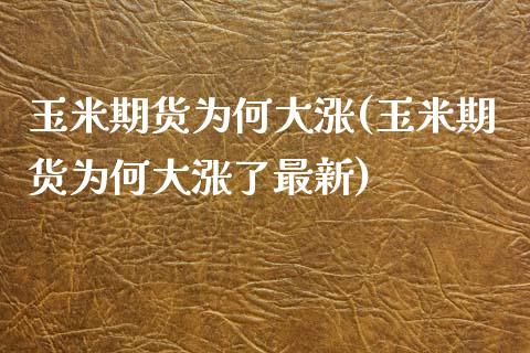 玉米期货为何大涨(玉米期货为何大涨了最新)_https://www.iteshow.com_基金_第1张