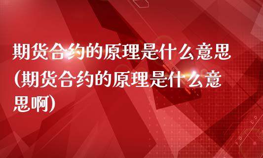 期货合约的原理是什么意思(期货合约的原理是什么意思啊)_https://www.iteshow.com_期货开户_第1张