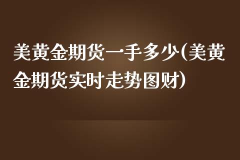 美黄金期货一手多少(美黄金期货实时走势图财)_https://www.iteshow.com_商品期货_第1张