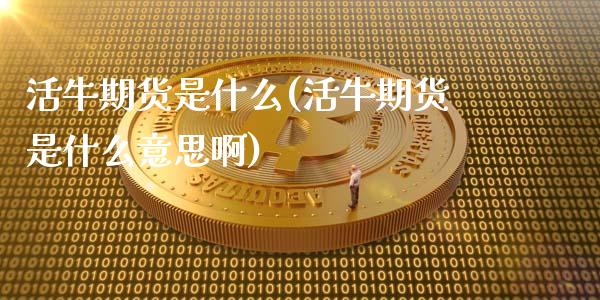 活牛期货是什么(活牛期货是什么意思啊)_https://www.iteshow.com_股票_第1张