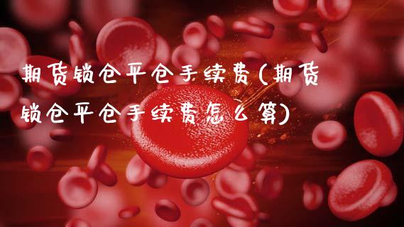 期货锁仓平仓手续费(期货锁仓平仓手续费怎么算)_https://www.iteshow.com_期货品种_第1张