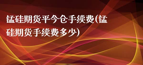 锰硅期货平今仓手续费(锰硅期货手续费多少)_https://www.iteshow.com_股指期权_第1张