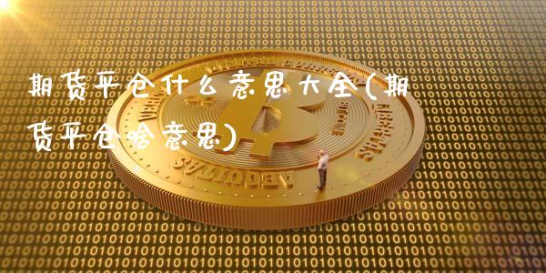 期货平仓什么意思大全(期货平仓啥意思)_https://www.iteshow.com_期货百科_第1张