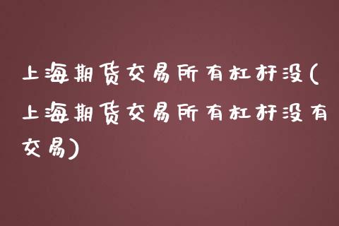 上海期货交易所有杠杆没(上海期货交易所有杠杆没有交易)_https://www.iteshow.com_股指期权_第1张