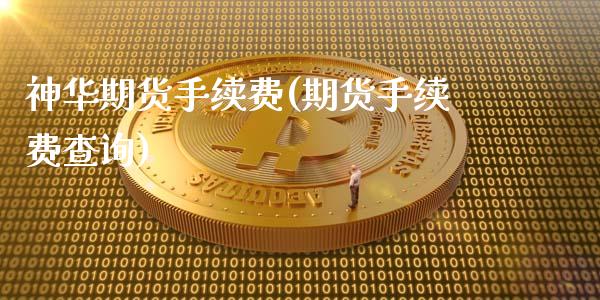 神华期货手续费(期货手续费查询)_https://www.iteshow.com_股指期货_第1张