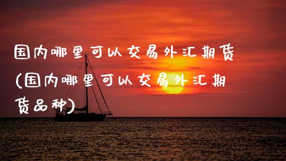 国内哪里可以交易外汇期货(国内哪里可以交易外汇期货品种)_https://www.iteshow.com_原油期货_第1张