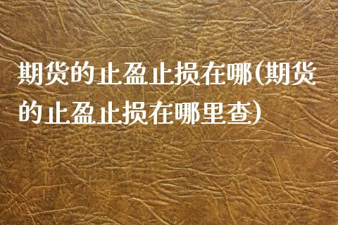 期货的止盈止损在哪(期货的止盈止损在哪里查)_https://www.iteshow.com_期货知识_第1张