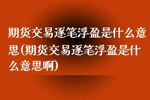 期货交易逐笔浮盈是什么意思(期货交易逐笔浮盈是什么意思啊)_https://www.iteshow.com_股票_第1张