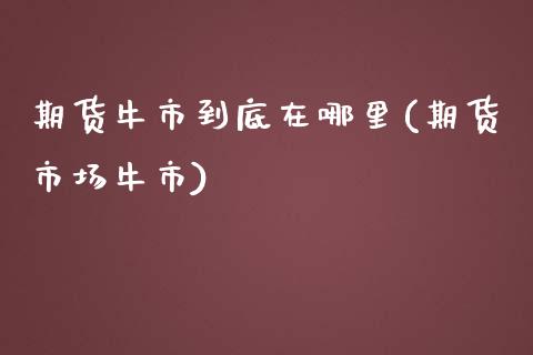 期货牛市到底在哪里(期货市场牛市)_https://www.iteshow.com_商品期权_第1张