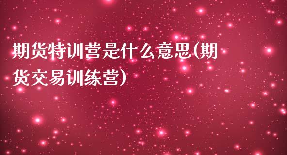 期货特训营是什么意思(期货交易训练营)_https://www.iteshow.com_期货公司_第1张