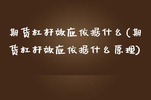 期货杠杆效应依据什么(期货杠杆效应依据什么原理)_https://www.iteshow.com_股票_第1张