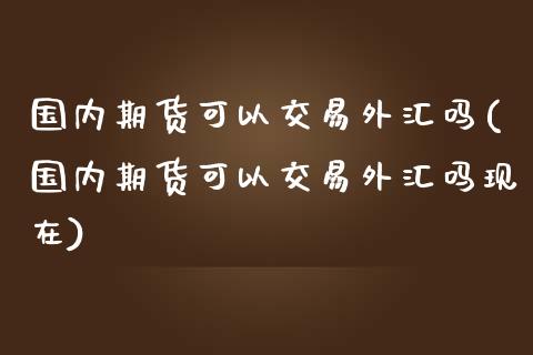 国内期货可以交易外汇吗(国内期货可以交易外汇吗现在)_https://www.iteshow.com_股指期货_第1张