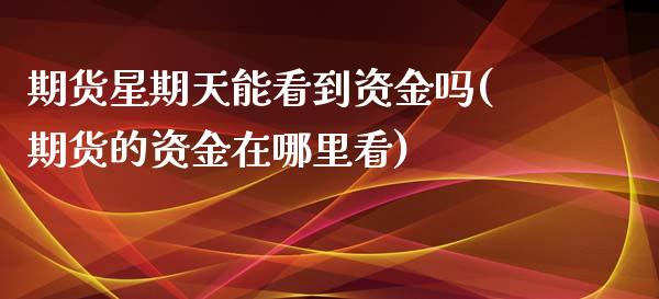 期货星期天能看到资金吗(期货的资金在哪里看)_https://www.iteshow.com_期货公司_第1张