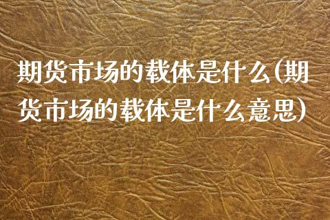 期货市场的载体是什么(期货市场的载体是什么意思)_https://www.iteshow.com_期货百科_第1张