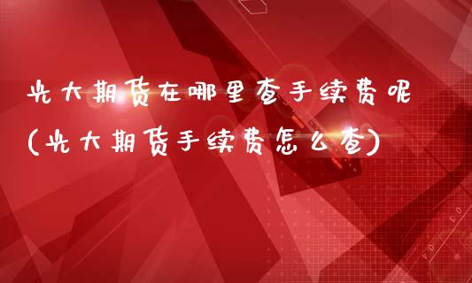 光大期货在哪里查手续费呢(光大期货手续费怎么查)_https://www.iteshow.com_黄金期货_第1张