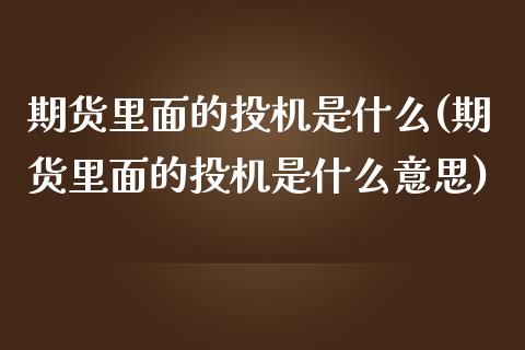 期货里面的投机是什么(期货里面的投机是什么意思)_https://www.iteshow.com_期货开户_第1张