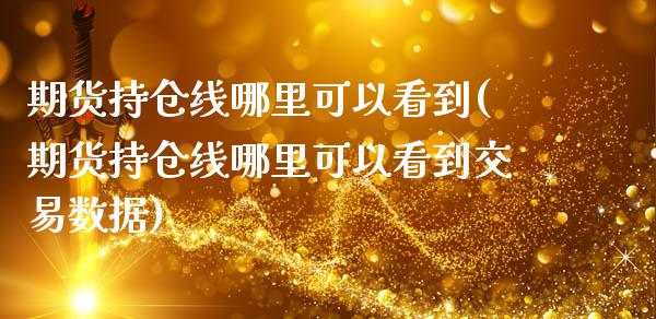 期货持仓线哪里可以看到(期货持仓线哪里可以看到交易数据)_https://www.iteshow.com_期货开户_第1张