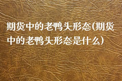 期货中的老鸭头形态(期货中的老鸭头形态是什么)_https://www.iteshow.com_股指期权_第1张