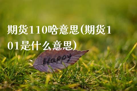 期货110啥意思(期货101是什么意思)_https://www.iteshow.com_期货开户_第1张