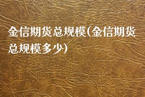 金信期货总规模(金信期货总规模多少)_https://www.iteshow.com_商品期权_第1张