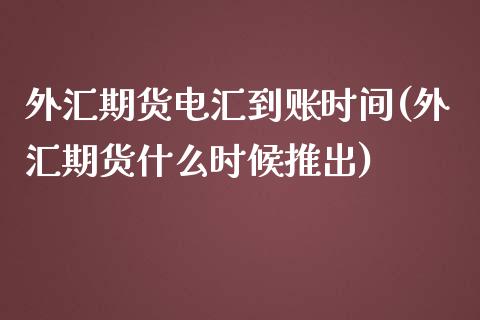 外汇期货电汇到账时间(外汇期货什么时候推出)_https://www.iteshow.com_期货品种_第1张