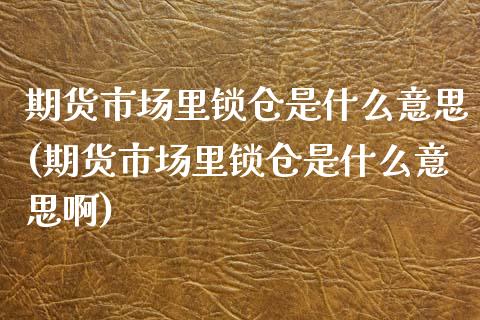 期货市场里锁仓是什么意思(期货市场里锁仓是什么意思啊)_https://www.iteshow.com_期货百科_第1张