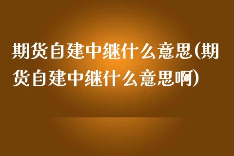 期货自建中继什么意思(期货自建中继什么意思啊)_https://www.iteshow.com_原油期货_第1张