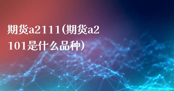 期货a2111(期货a2101是什么品种)_https://www.iteshow.com_商品期权_第1张