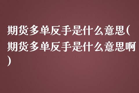 期货多单反手是什么意思(期货多单反手是什么意思啊)_https://www.iteshow.com_期货手续费_第1张