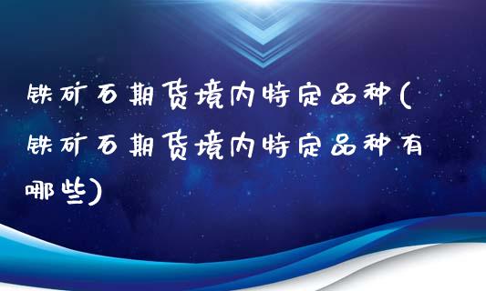 铁矿石期货境内特定品种(铁矿石期货境内特定品种有哪些)_https://www.iteshow.com_期货百科_第1张