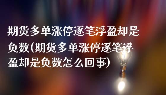 期货多单涨停逐笔浮盈却是负数(期货多单涨停逐笔浮盈却是负数怎么回事)_https://www.iteshow.com_期货开户_第1张