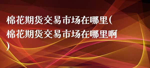 棉花期货交易市场在哪里(棉花期货交易市场在哪里啊)_https://www.iteshow.com_股指期货_第1张