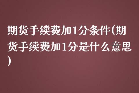 期货手续费加1分条件(期货手续费加1分是什么意思)_https://www.iteshow.com_商品期权_第1张