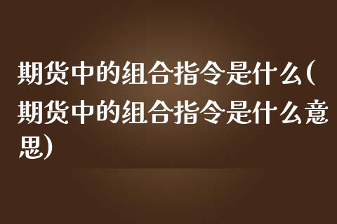 期货中的组合指令是什么(期货中的组合指令是什么意思)_https://www.iteshow.com_商品期货_第1张