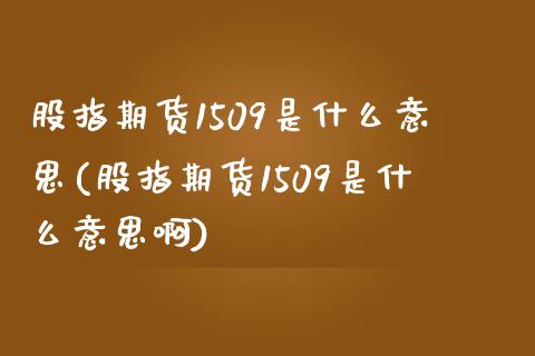 股指期货1509是什么意思(股指期货1509是什么意思啊)_https://www.iteshow.com_期货品种_第1张