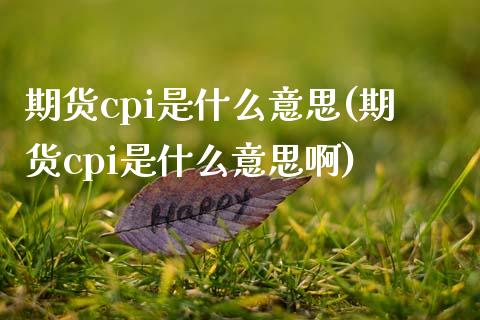 期货cpi是什么意思(期货cpi是什么意思啊)_https://www.iteshow.com_股票_第1张