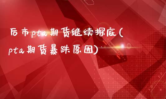 后市pta期货继续探底(pta期货暴跌原因)_https://www.iteshow.com_期货百科_第1张