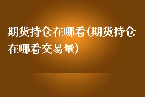 期货持仓在哪看(期货持仓在哪看交易量)_https://www.iteshow.com_商品期权_第1张