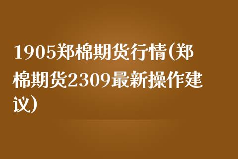 1905郑棉期货行情(郑棉期货2309最新操作建议)_https://www.iteshow.com_期货手续费_第1张