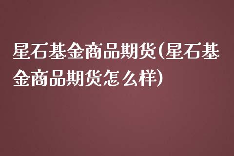 星石基金商品期货(星石基金商品期货怎么样)_https://www.iteshow.com_期货知识_第1张