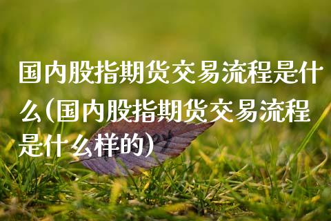 国内股指期货交易流程是什么(国内股指期货交易流程是什么样的)_https://www.iteshow.com_商品期权_第1张