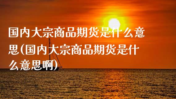 国内大宗商品期货是什么意思(国内大宗商品期货是什么意思啊)_https://www.iteshow.com_股票_第1张