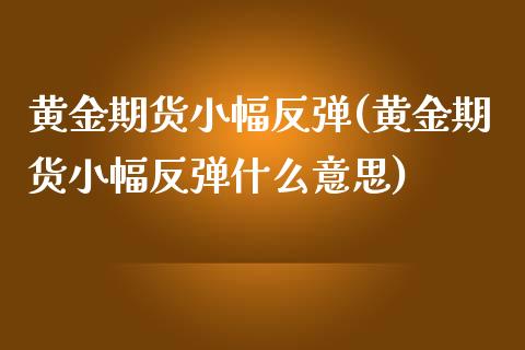 黄金期货小幅反弹(黄金期货小幅反弹什么意思)_https://www.iteshow.com_期货开户_第1张