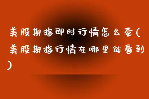 美股期指即时行情怎么查(美股期指行情在哪里能看到)_https://www.iteshow.com_期货公司_第1张