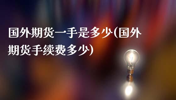 国外期货一手是多少(国外期货手续费多少)_https://www.iteshow.com_期货手续费_第1张