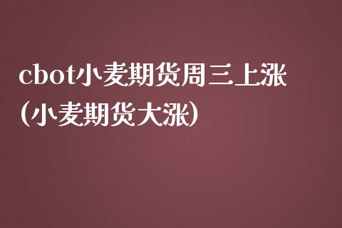 cbot小麦期货周三上涨(小麦期货大涨)_https://www.iteshow.com_商品期权_第1张