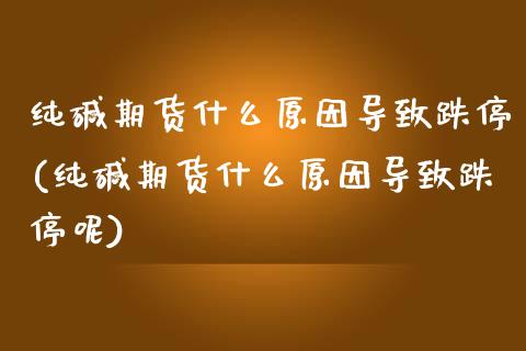 纯碱期货什么原因导致跌停(纯碱期货什么原因导致跌停呢)_https://www.iteshow.com_基金_第1张