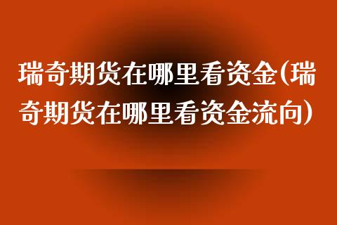 瑞奇期货在哪里看资金(瑞奇期货在哪里看资金流向)_https://www.iteshow.com_期货手续费_第1张